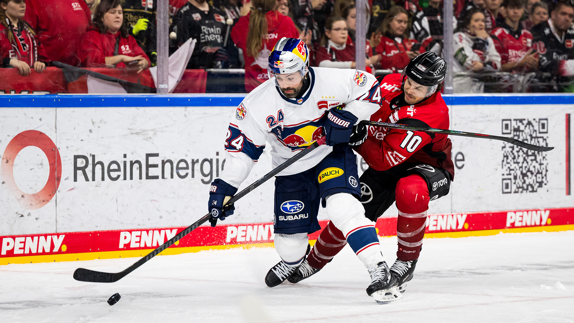 Kölner Haie gg. EHC Red Bull München